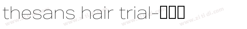 thesans hair trial字体转换